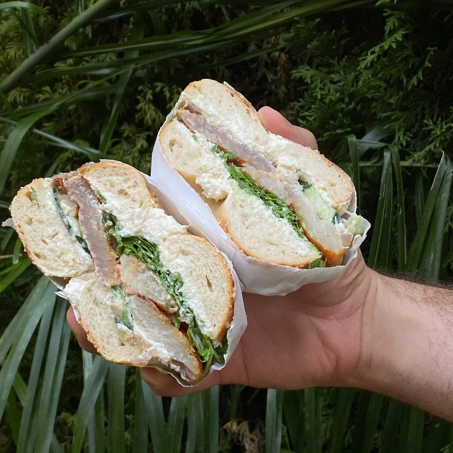 Hand holding a halved bagel sandwich with cream cheese, fish fillet, greens and cucumber in front of green foliage