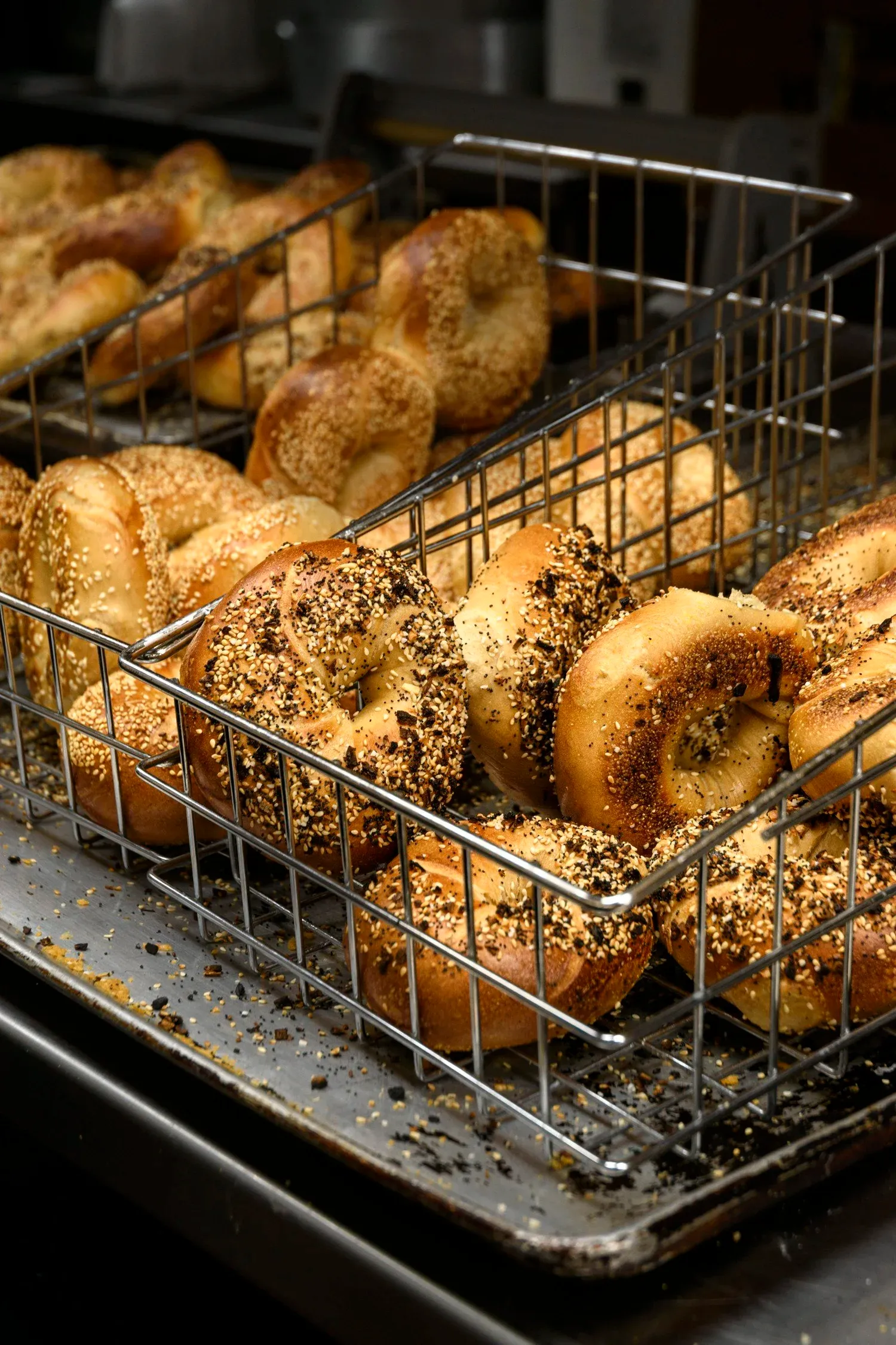 Wire baskets of freshly baked everything and sesame bagels on a metal sheet pan in a bakery