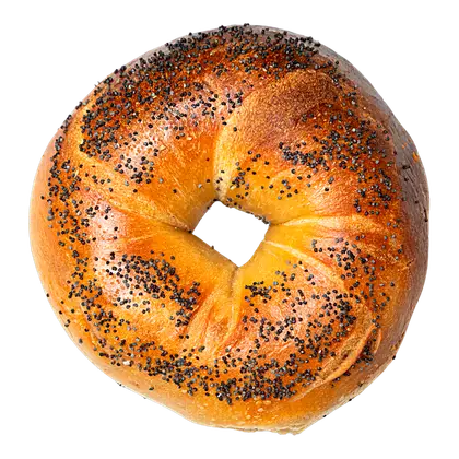 Hand-rolled poppy seed bagel