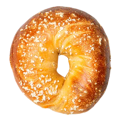 Hand-rolled salt bagel