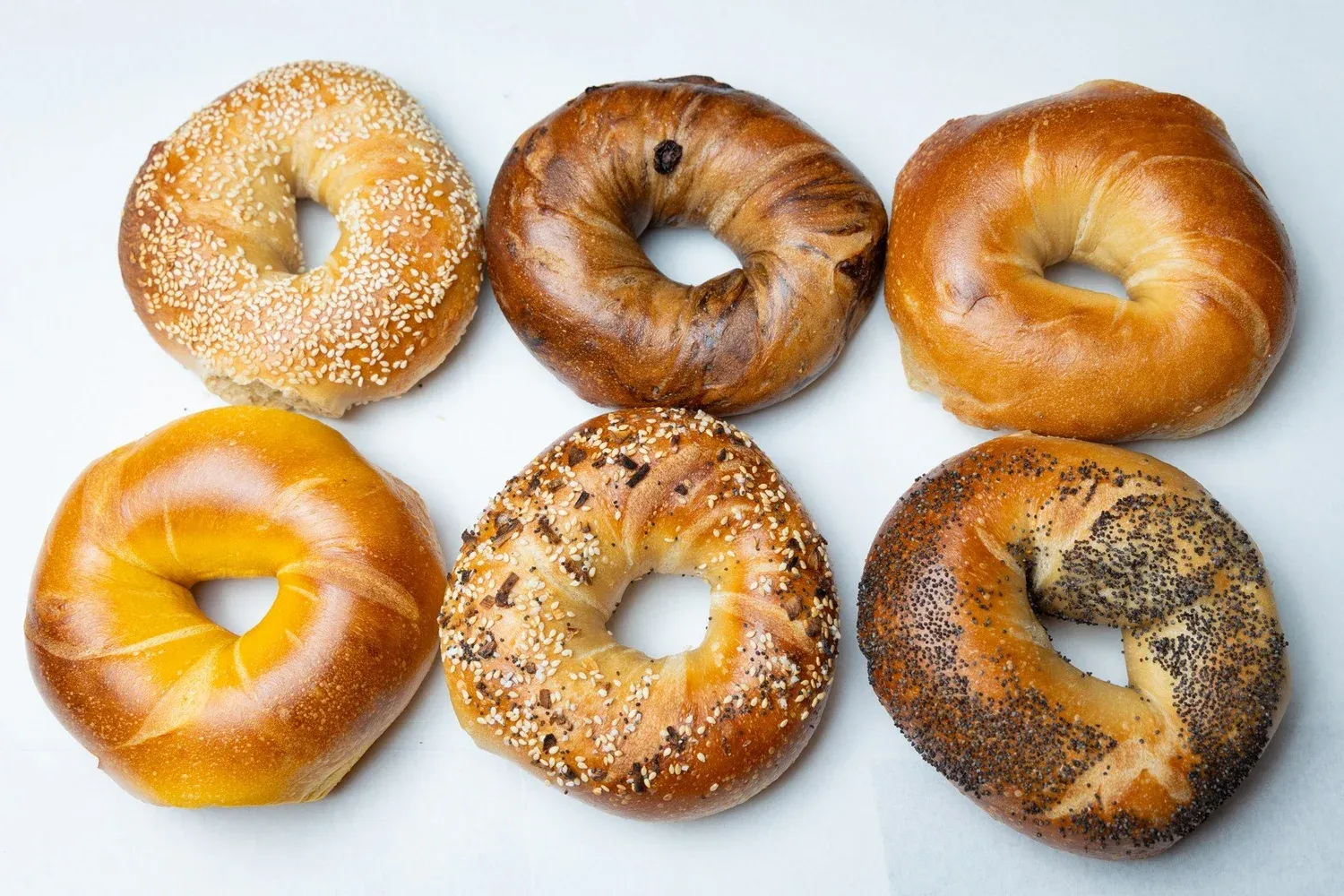 Six bagels in two rows on a white surface: sesame, cinnamon raisin, plain, egg, everything and poppy