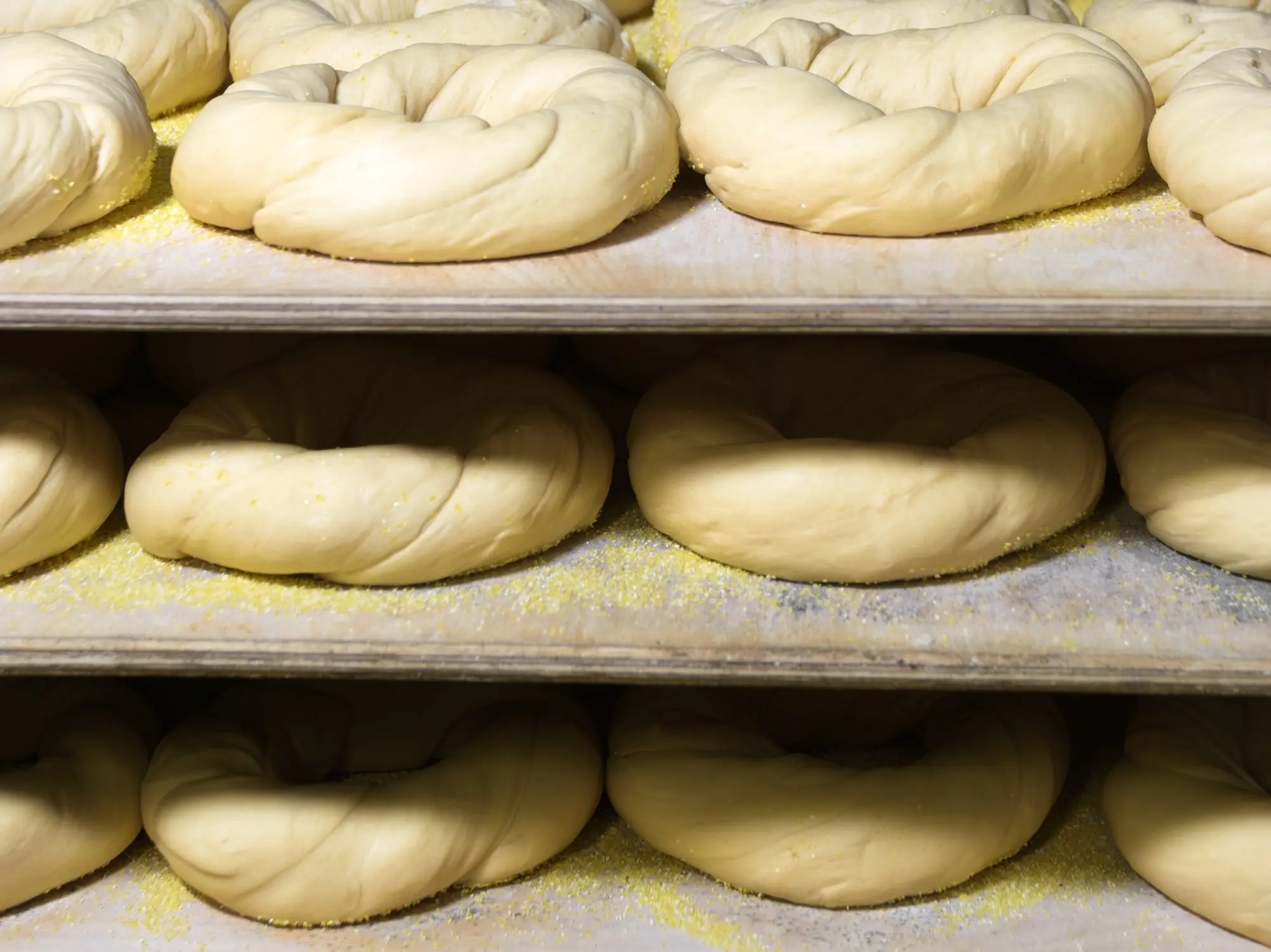 Boards of hand-rolled dough rings resting on racks before they go in the kettle