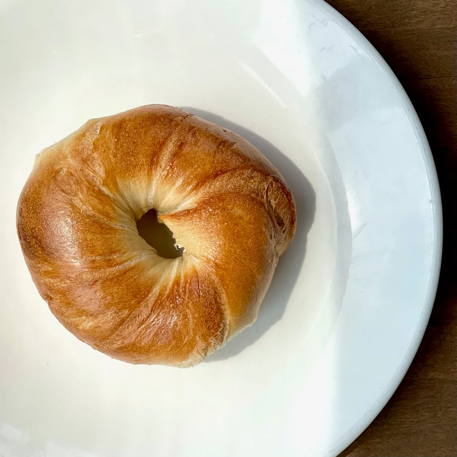 Single plain bagel with a glossy golden crust on a white plate in sunlight