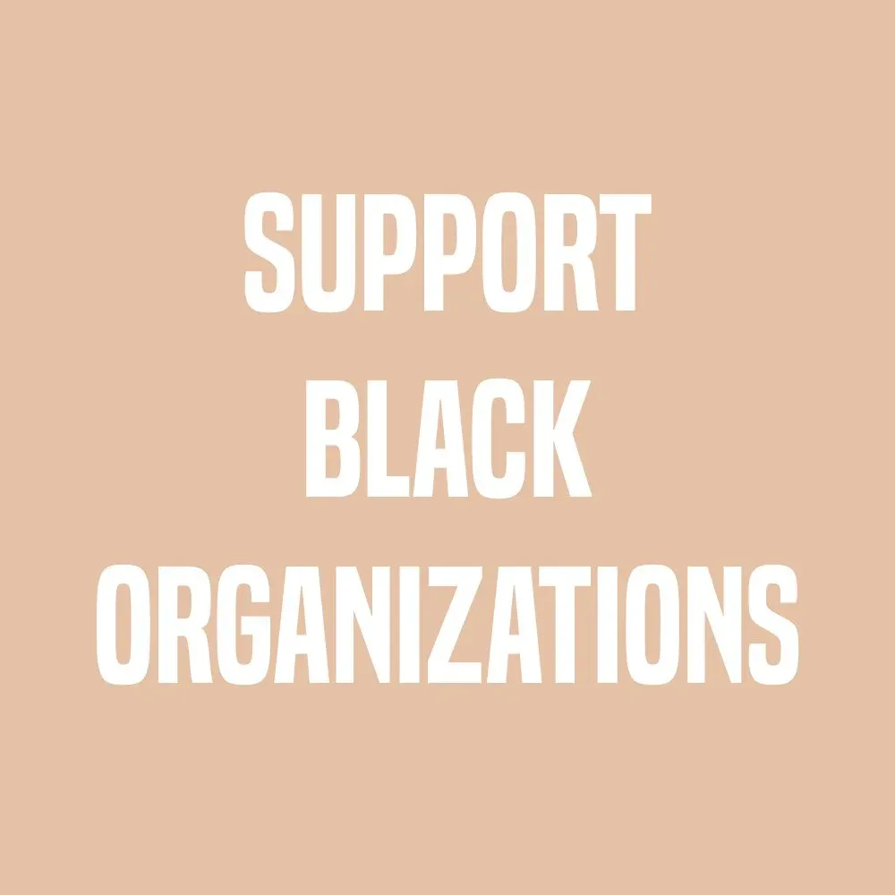 Text graphic reading Support Black Organizations in white letters on a tan background