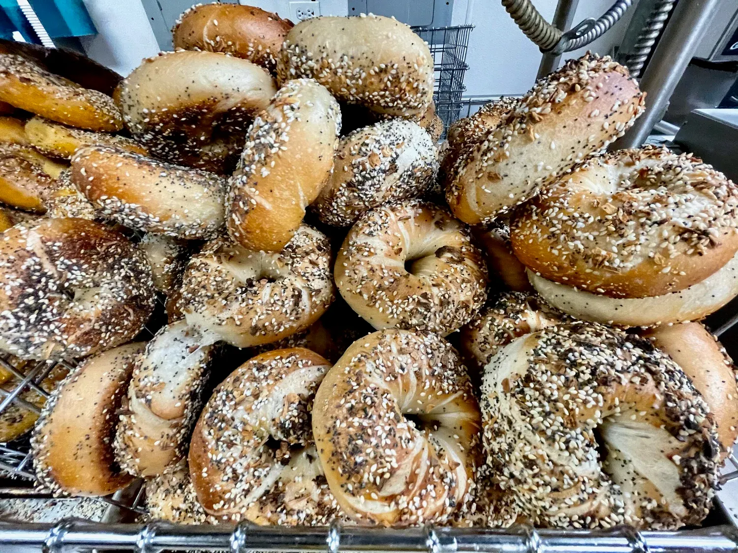 Hand-rolled everything bagels at Gotham Bagels